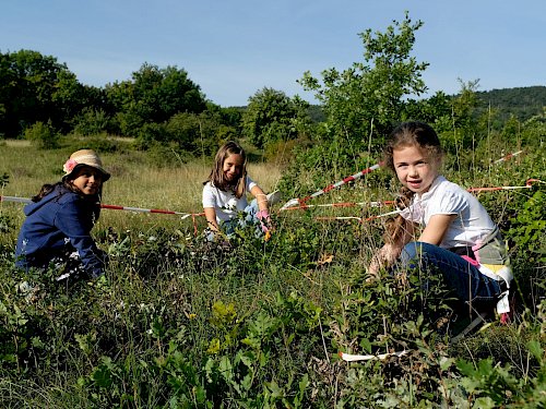 Schülerinnen pflegen die Perchtolsdorfer Heide.