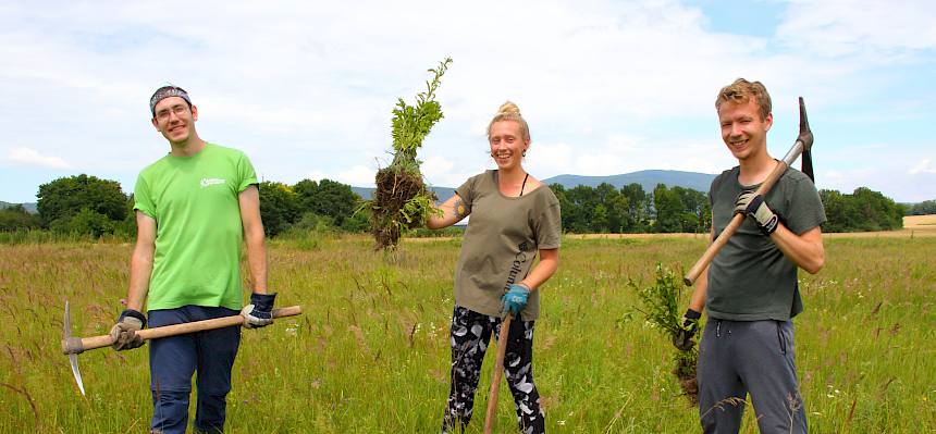 Das Praktikant*innenteam in Action