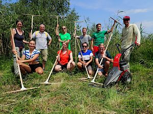 Viele helfende Hände werden für die Pflege im Herrngras gebraucht! © LPV/S. Girsch Freiwillige Helfer:innen beim Pflegeeinsatz