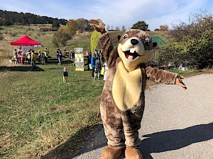 Genieße die Heide beim traditionellen Heidefest. © FdPH/A. Mrkvicka Perzi
