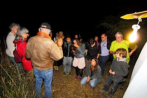 Entdecke mit uns Nachtfalter, Fledermäuse und viele weitere Tiere der Nacht. © FdPH Nachtexkursion