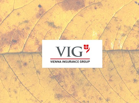 Logo Vienna Insurance Group
