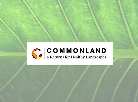 Logo Commonland