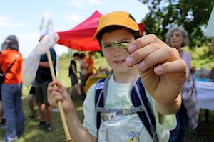 Erforsche mit uns die biologische Vielfalt am Symposion Lindabrunn, einem herausragenden Naturgebiet an der Thermenlinie! © LPV/L. Strobl Biologe mit Heuschrecke