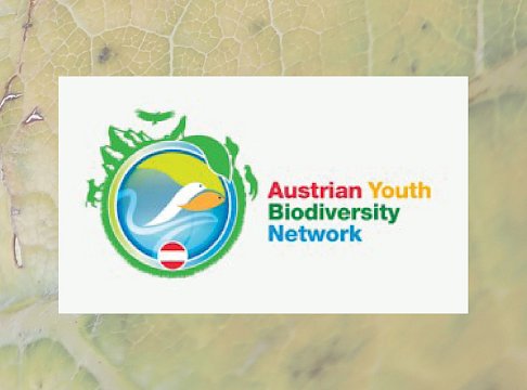 Logo Österreichisches Jugendbiodiversitätsnetzwerk