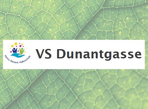 Logo VS Dunantgasse
