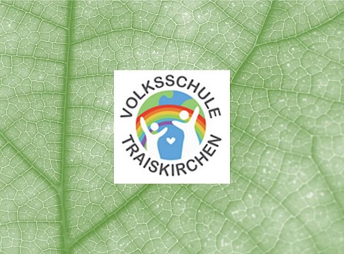 Logo VS Traiskirchen