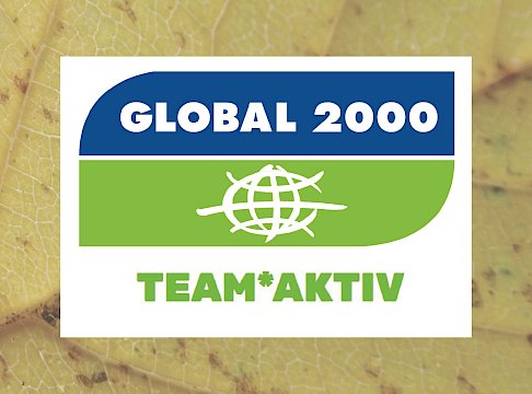 Logo Global 2000 Team Aktiv