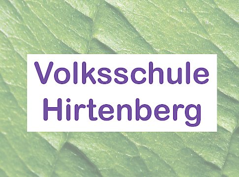 Logo Volksschule Hirtenberg
