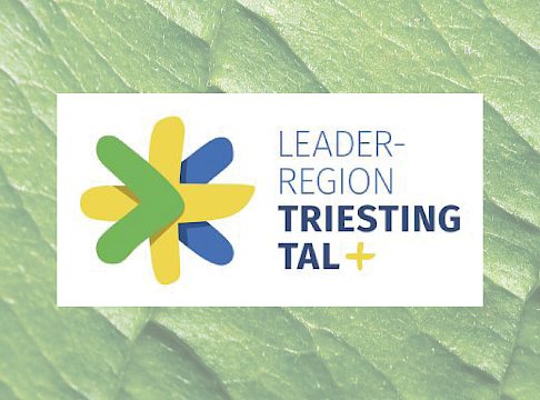 Logo Leader Region Triestingtal
