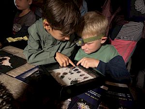 Bei der Langen Nacht der Naturparks gibt es für alle, egal ob jung oder alt, etwas zu entdecken. © LPV/E. Weisz-Emesz Kinder betrachten Käferpräparat