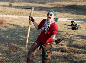 Die nachhaltigste Entbuschung ist das Aushacken mit dem Krampen. Im sandigen Boden des Goldbergs funktioniert das mit relativ wenig Kraftaufwand. © LPV/L. Strobl Mensch mit Krampen und Gehölz