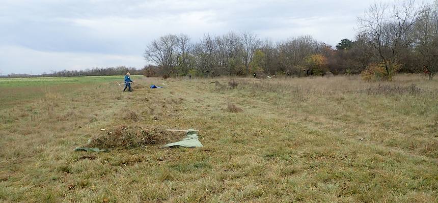 Der Halbtrockenrasen in Oberwaltersdorf.