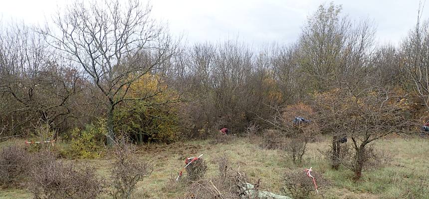 Kleinere, stehen bleibende Gebüsche werden vorher markiert.