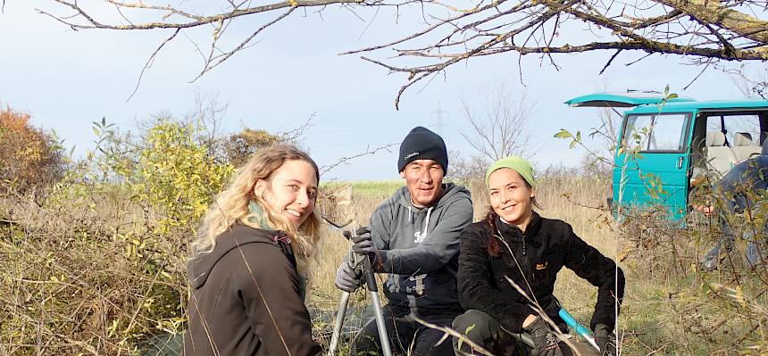 Ausufernde Ligustergebüsche werden geschnitten.