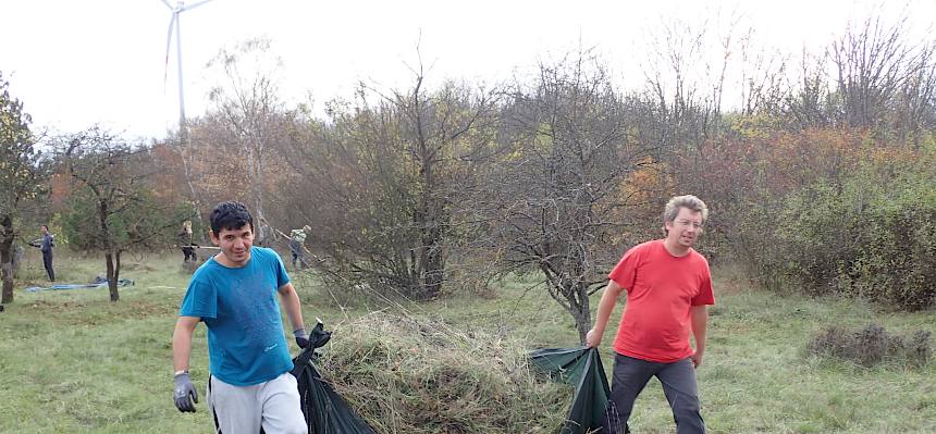 Das Schnittgut wird zum Sammelort getragen.