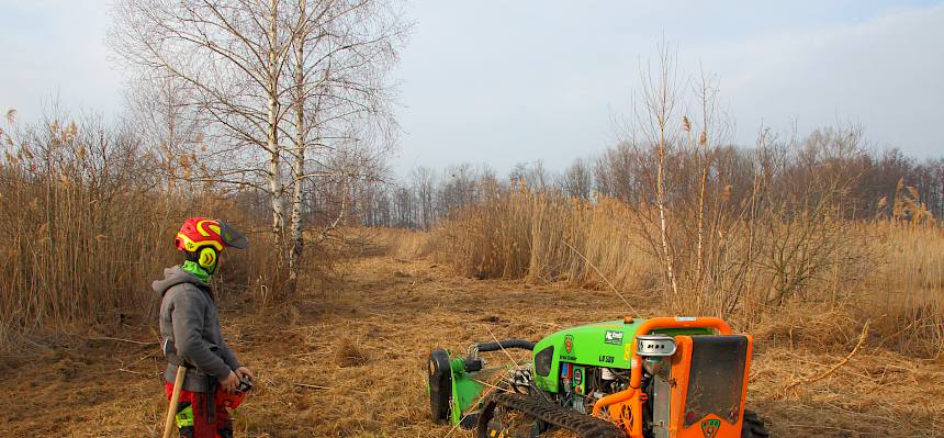 Ferngesteuerte Mulchraupe im Einsatz