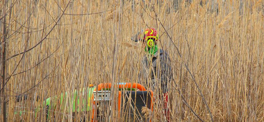 Ferngesteuerte Mulchraupe im Einsatz