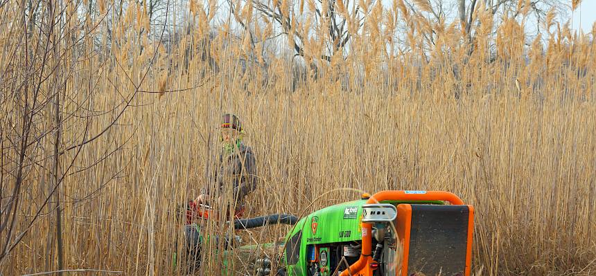 Ferngesteuerte Mulchraupe im Einsatz