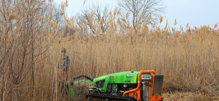 Ferngesteuerte Mulchraupe im Einsatz