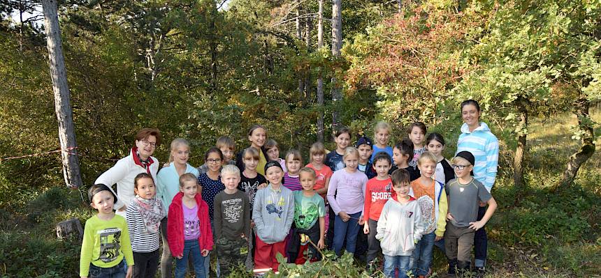 Schüler*innen der VS Pfaffstätten, MSK