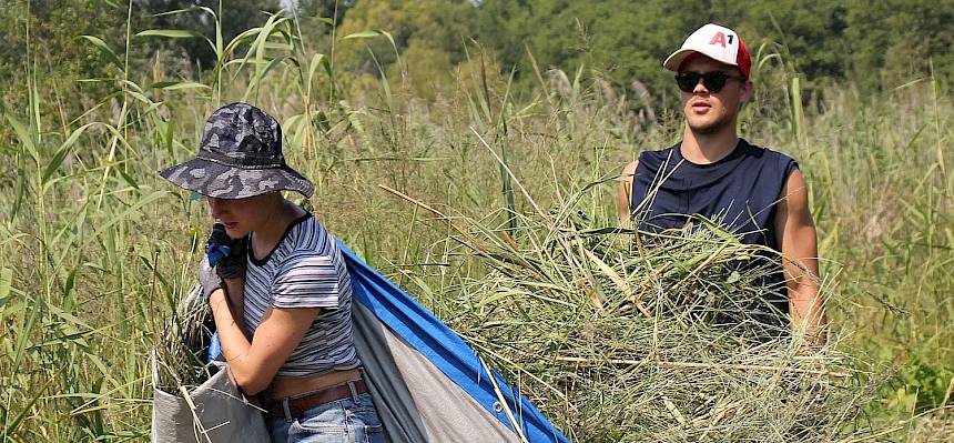 Abtransport des Schnittguts.