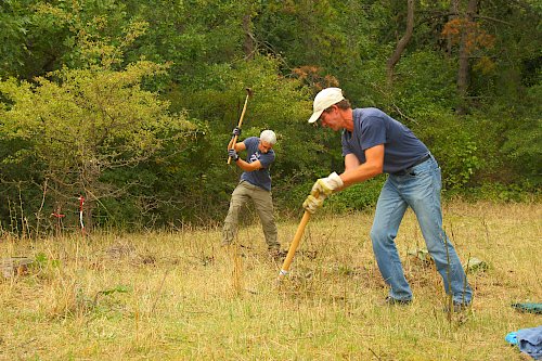 Aushacken von Gebüschen
