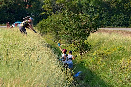 Mahd im Naturdenkmal Johannesberg