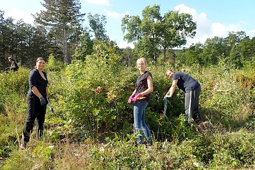 Im Team macht die CSR-Einsatz Spaß!