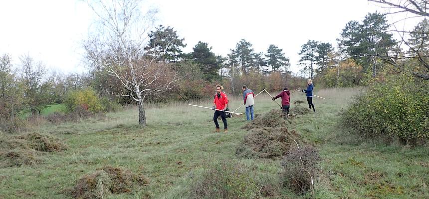 Zusammenrechen des Mähguts.