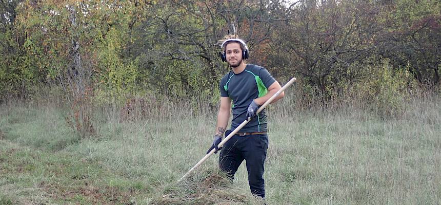 Zusammenrechen des Mähguts.