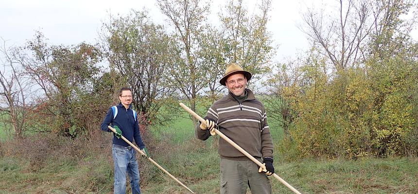 Zusammenrechen des Mähguts.