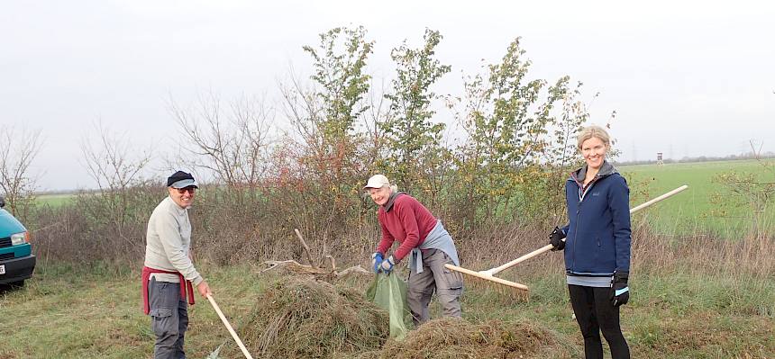 Zusammenrechen des Mähguts.