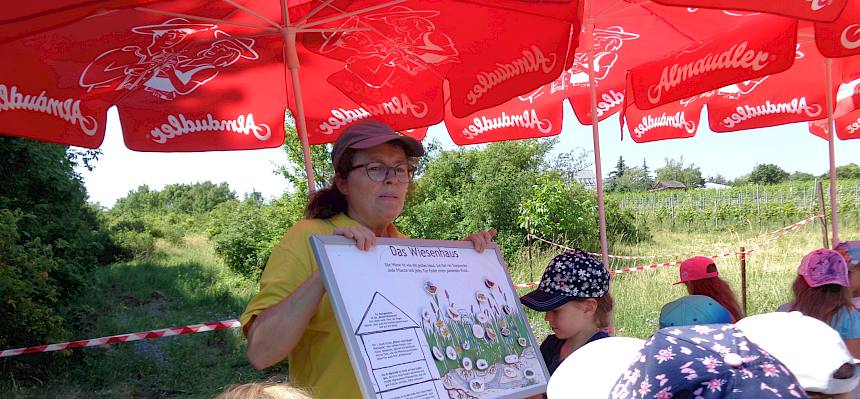 Welches Tier wohnt in welchem Stockwerk der Wiese?