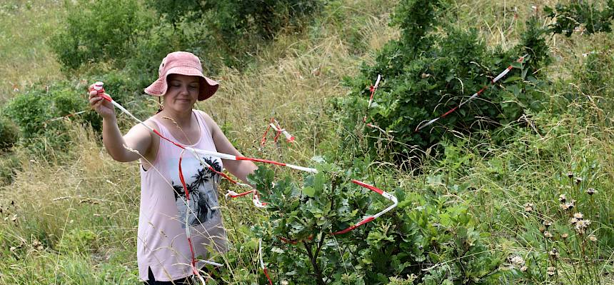 Nach dem Arbeitseinsatz wurden die Bänder wieder entfernt.