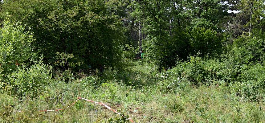 Fläche (fast) vor der Pflege.