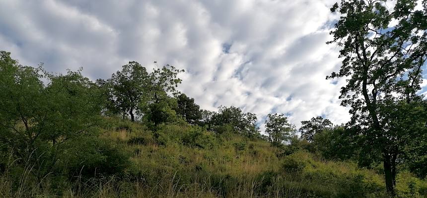 Blick auf den Fluxberg.