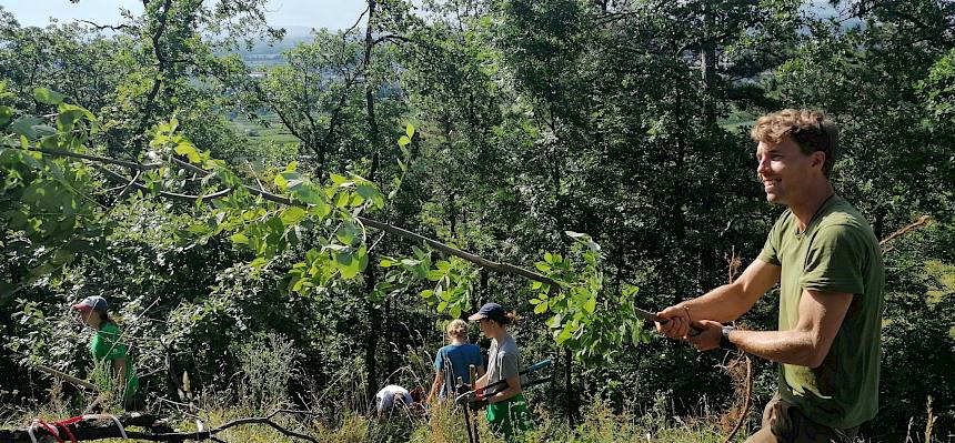 Voller Einsatz für die Trockenrasen.
