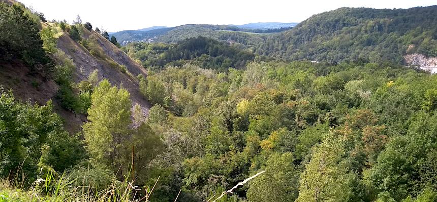 Blick über das Naturschutzgebiet Teufelstein-Fischerwiesen.