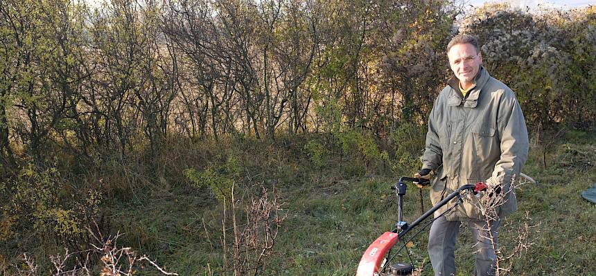 Die Hälfte der Fläche wurde mit dem Balkenmäher gemäht.