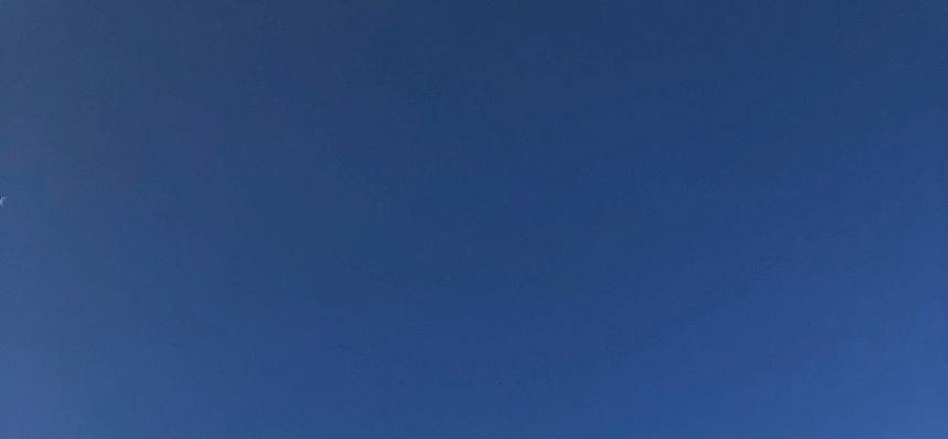 Kranich-Zug über dem Naturdenkmal Kuhschellenwiese.