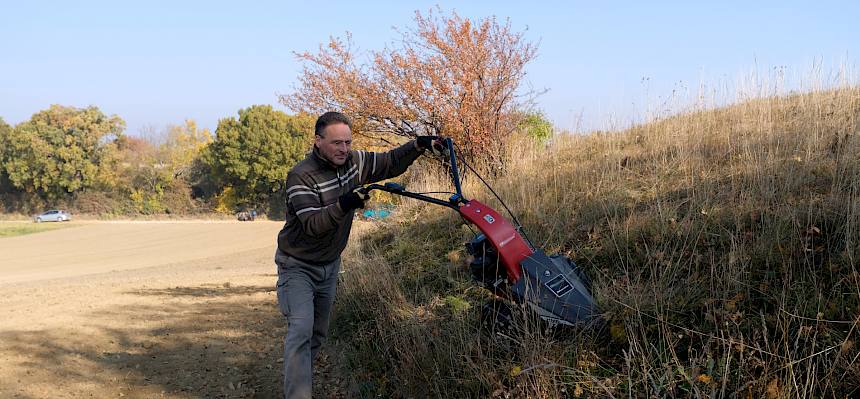 Die Hälfte der Fläche wurde mit dem Balkenmäher gemäht.