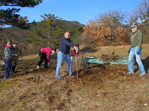 Freiwillige bei Landschaftspflege