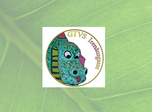 Logo GTVS Irenäusgasse