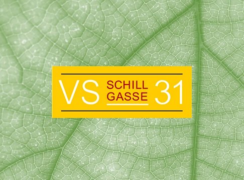 Logo VS Schillgasse